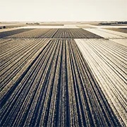 Agriculture & Food Production